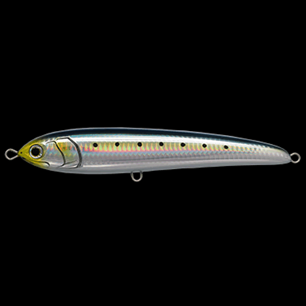 Maria RAPIDO F190 190mm : 65g FLOATING 001 IWASHI saltwater fishing lure