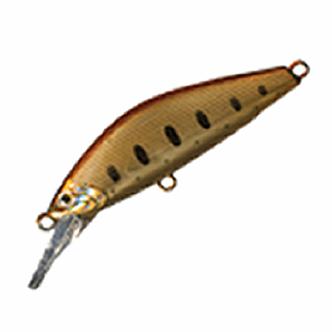 SMITH D-CONCEPT 48MD 48mm 5.0g HEAVY SINKING 09 ORANGE HAKU freshwater fishing lure