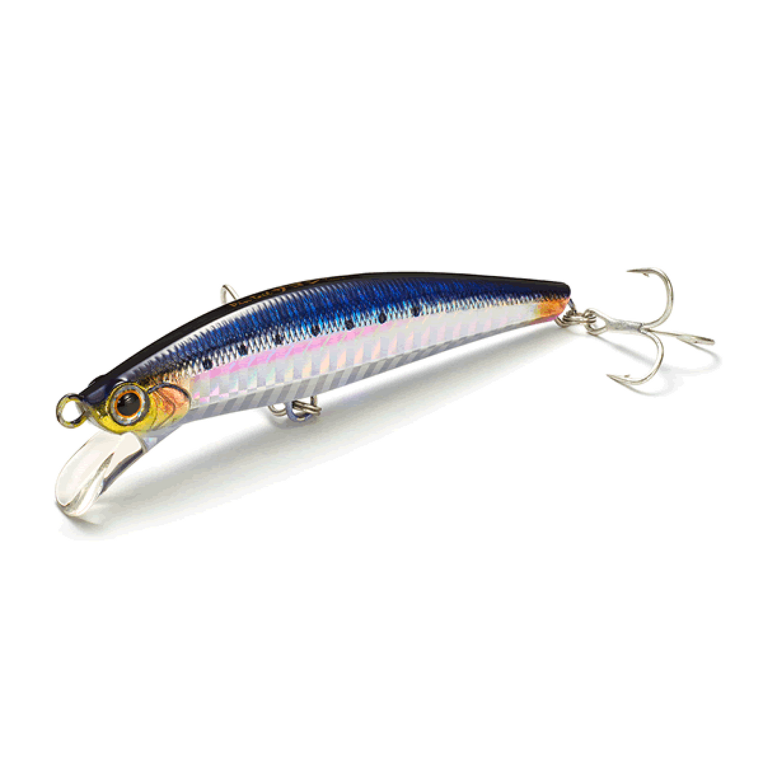 Jackson PINTAIL SAGOSHI TUNE 20 75mm 20g SUPER SINKING SNI SHINSEN IWASHI saltwater fishing lure