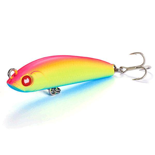Jackson ATHLETE 55LL MEBARU TUNE 55mm : 4g Slow Sinking MRB MATTE RAINBOW saltwater fishing lure