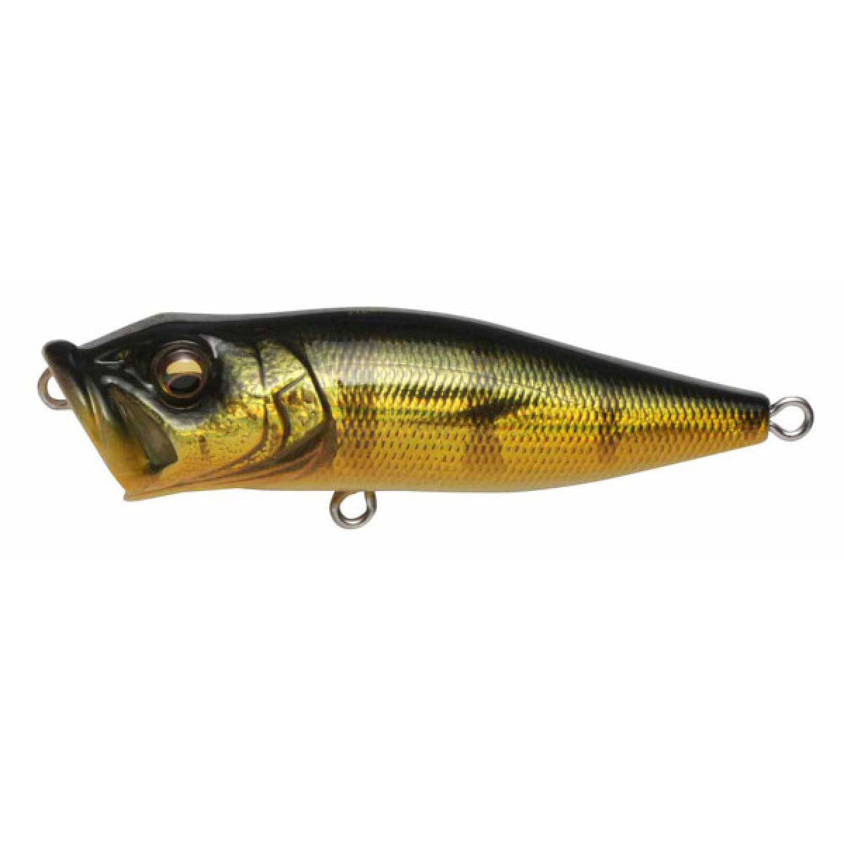 Megabass POPX 64mm : 1/4oz GG PEACOCK