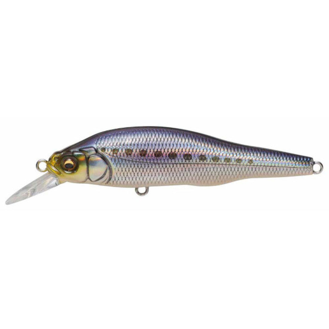 Megabass X-80 SW 80.5mm : 11g Slow Sinking GG IWASHI saltwater fishing lure