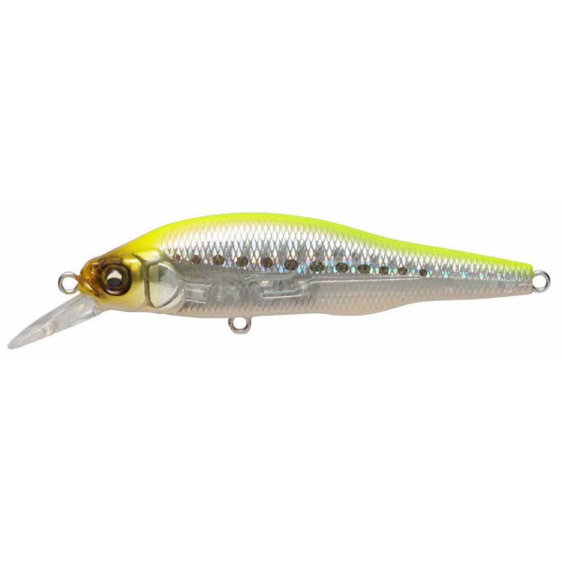 Megabass X-80 SW 80.5mm : 11g Slow Sinking HT CART BACK IWASHI saltwater fishing lure