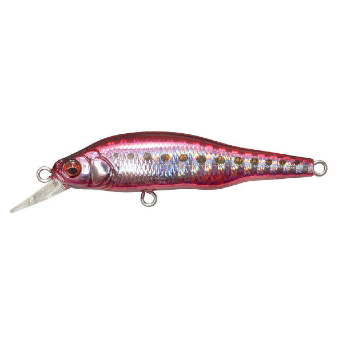Megabass X-80Jr. SW 65mm : 6g Sinking GG HEAT IWASHI saltwater fishing lure