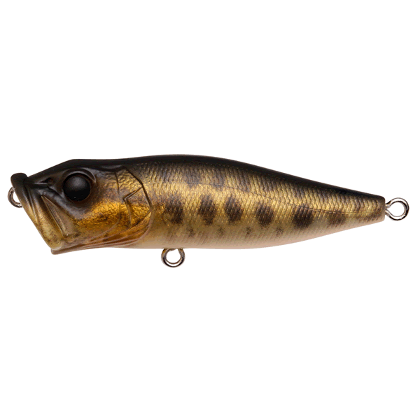 Megabass POPX 64mm : 1/4oz FA BABY RAIGYO