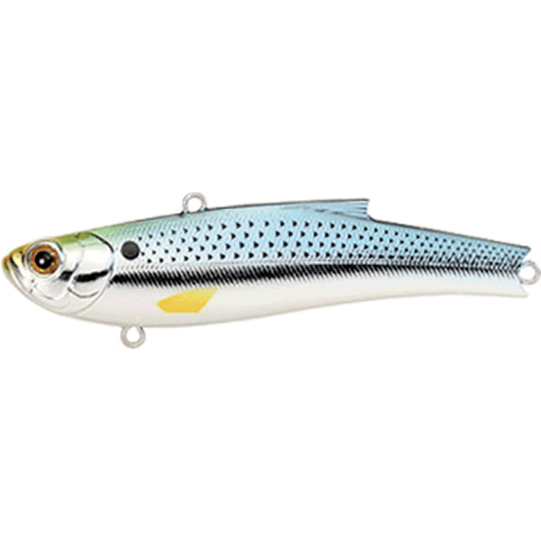 BASSDAY RANGE VIB 70ES 70mm 15.0g M-240 KONOSHIRO saltwater fishing lure