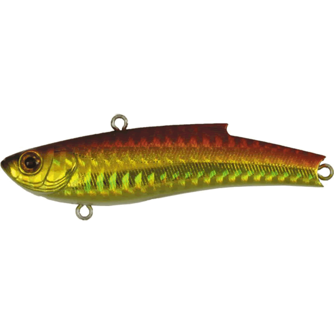 BASSDAY RANGE VIB 55ES 55mm 10.0g HH-14 HEIGHT HOLO AKAKIN saltwater fishing lure