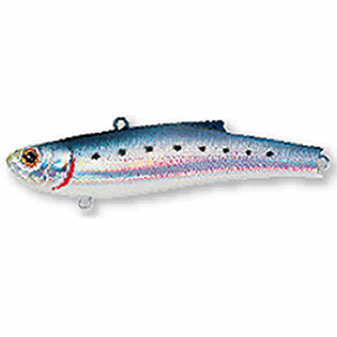BASSDAY RANGE VIB 55ES 55mm 10.0g HH-16 HIGHT HOLO IWASHI saltwater fishing lure