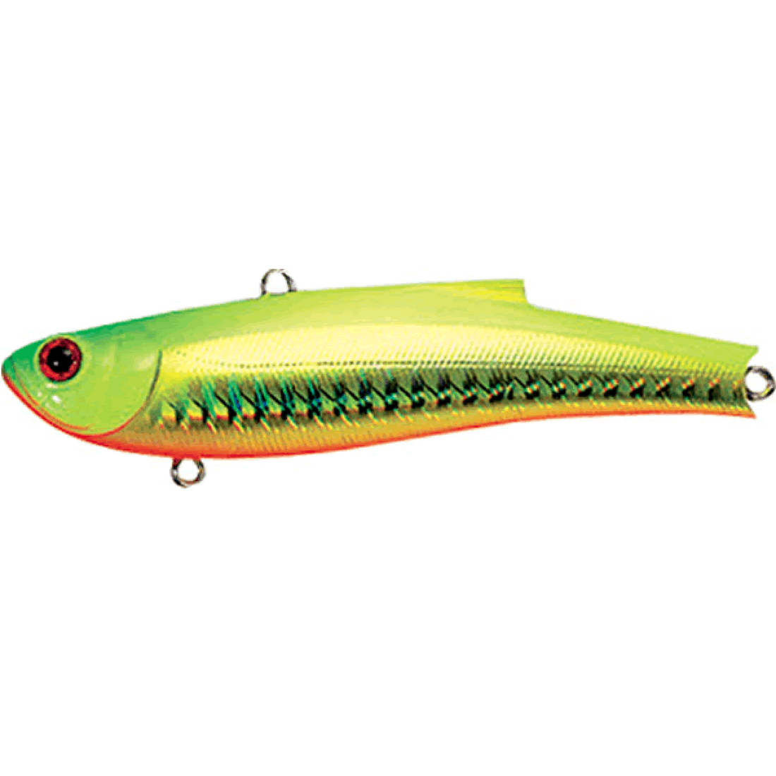BASSDAY RANGE VIB 55ES 55mm 10.0g HH-100 FLASH CHART saltwater fishing lure