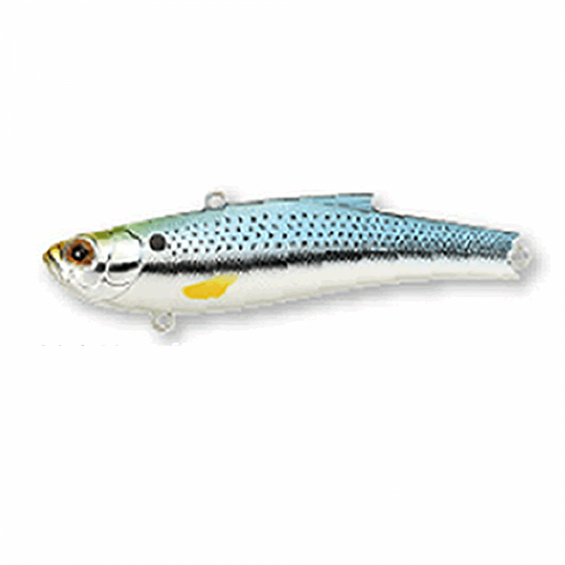 BASSDAY RANGE VIB 55ES 55mm 10.0g M-240 KONOSHIRO saltwater fishing lure