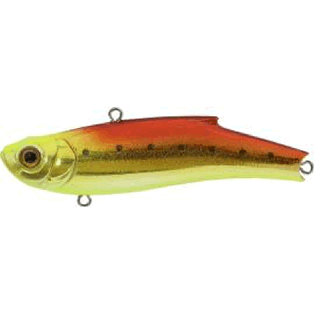 BASSDAY RANGE VIB 55ES 55mm 10.0g MH-520 GINPUN RED CHART IWASHI saltwater fishing lure