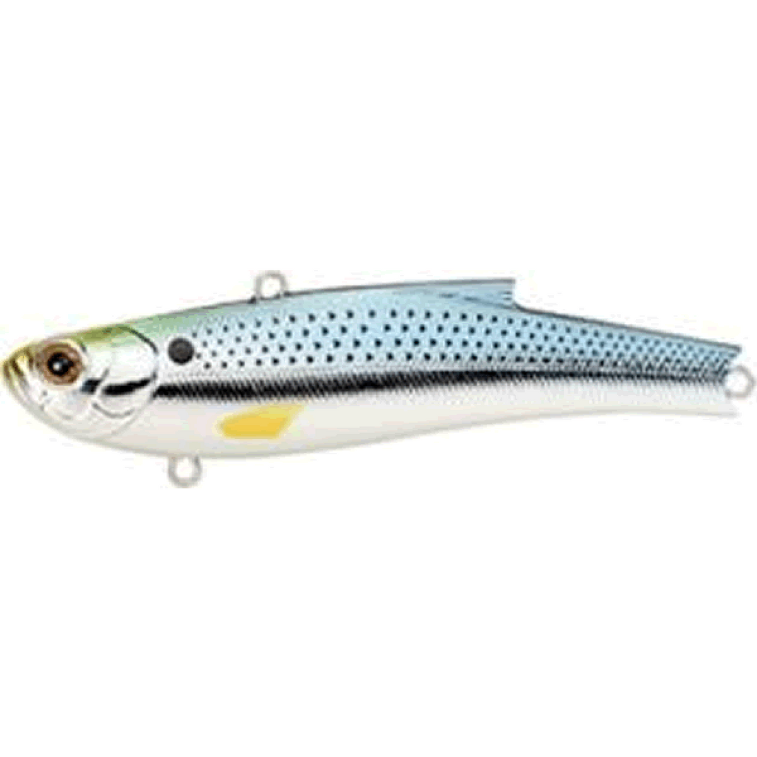 BASSDAY RANGE VIB 80ES 80mm 23.0g M-240 KONOSHIRO saltwater fishing lure