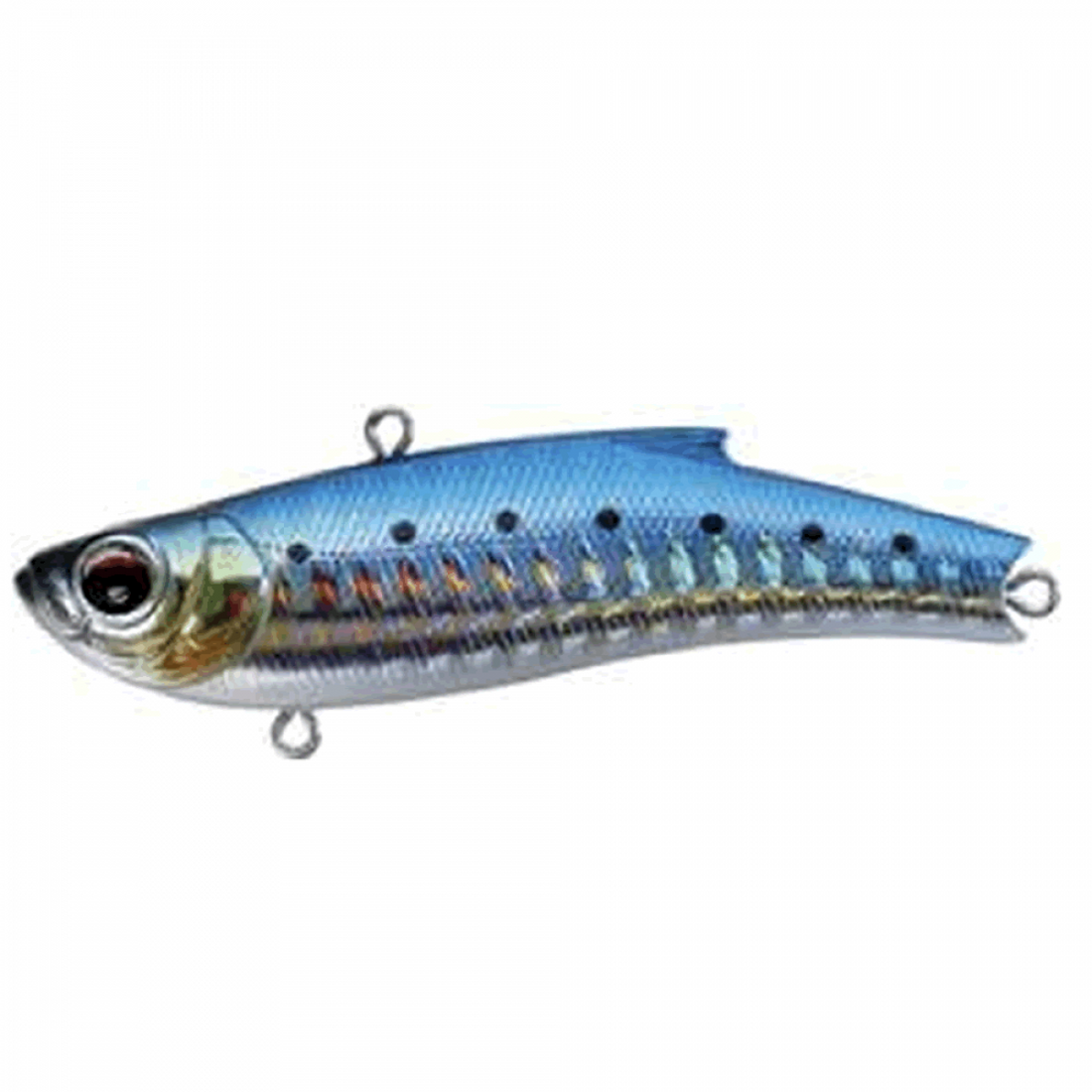 BASSDAY RANGE VIB 70TG 70mm 20.0g HH-16 HIGHT HOLO IWASHI saltwater fishing lure