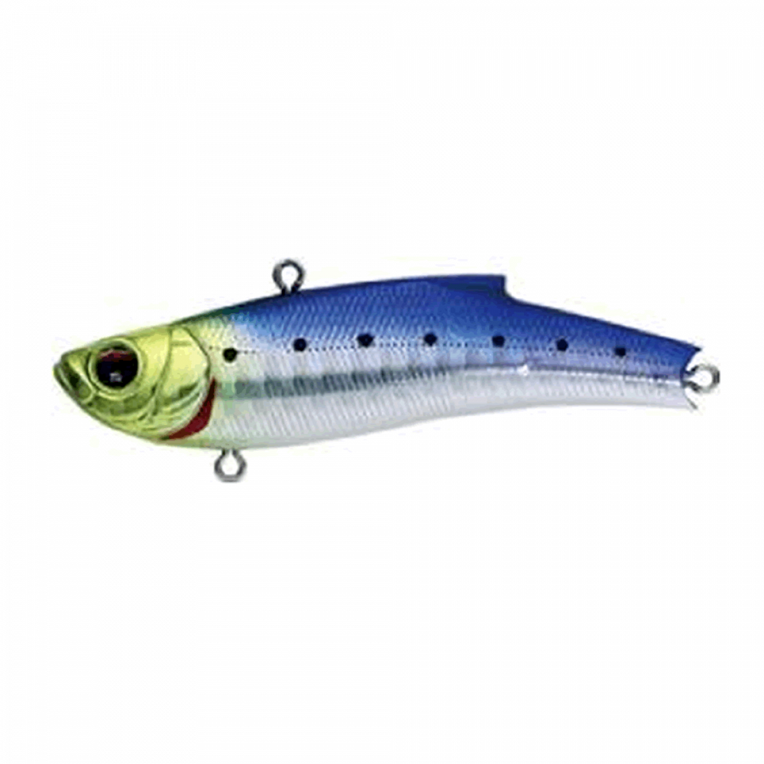 BASSDAY RANGE VIB 70TG 70mm 20.0g HH-322 HIGHT HOLO ELEGANT IWASHI saltwater fishing lure