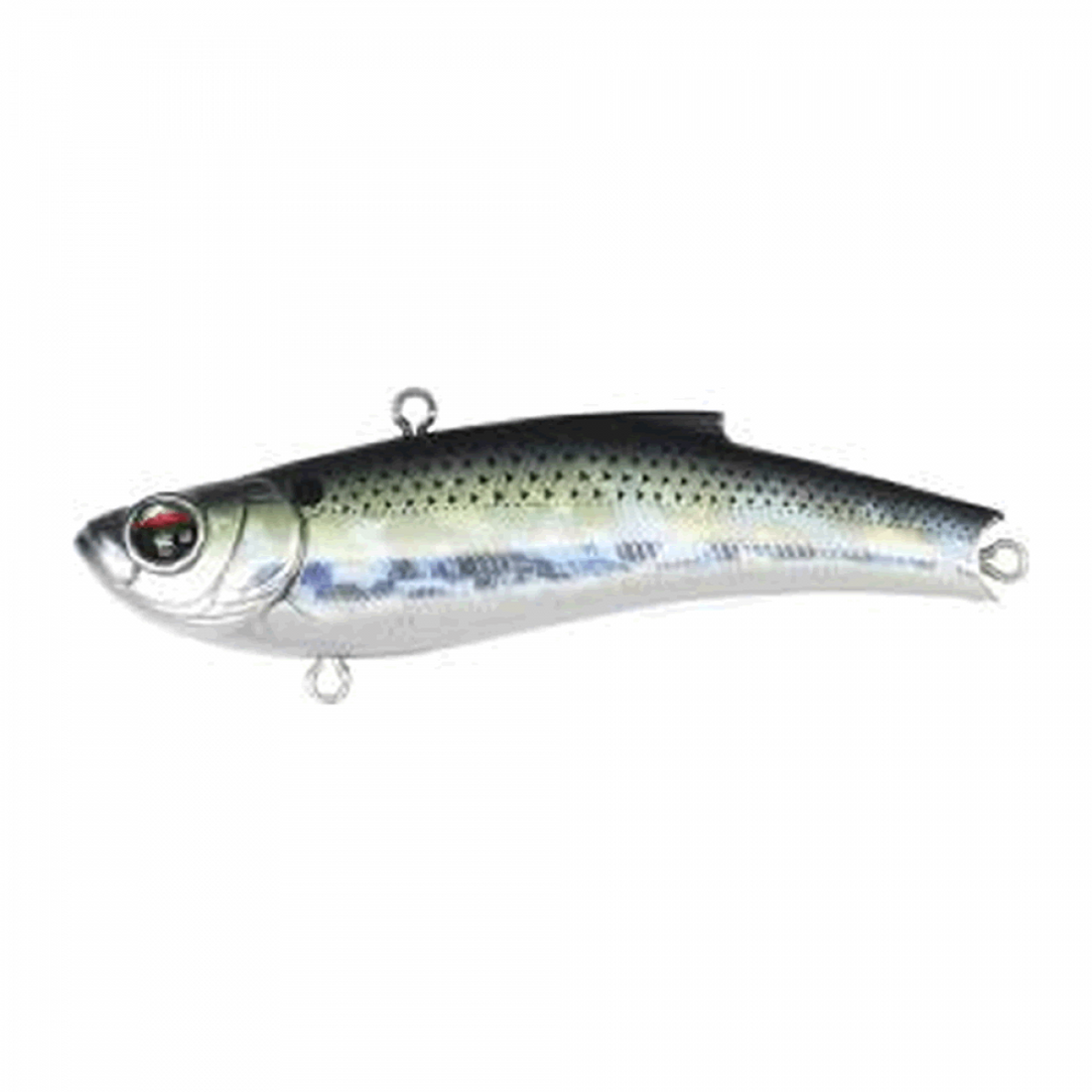 BASSDAY RANGE VIB 70TG 70mm 20.0g CH-391 KISUI BORA saltwater fishing lure