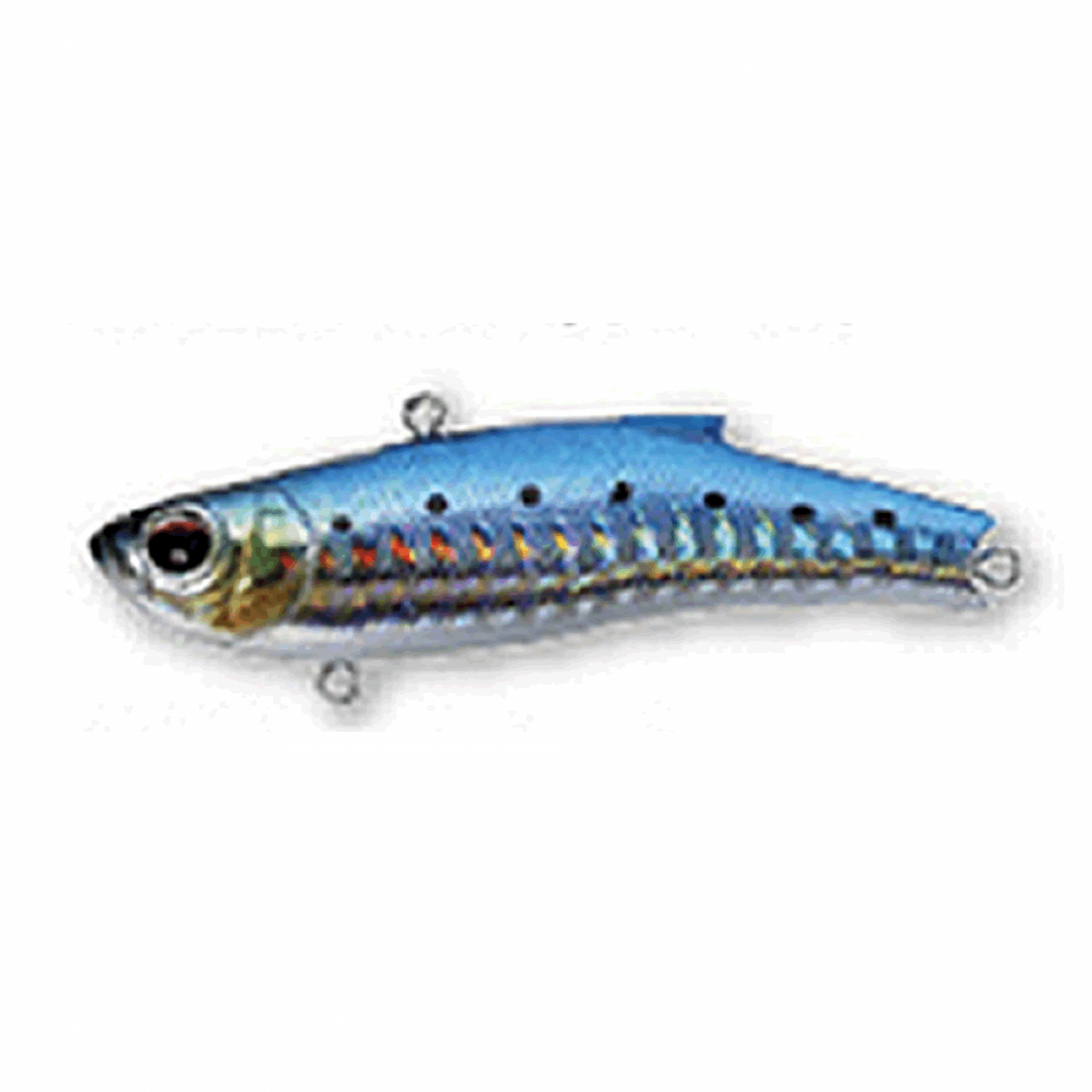BASSDAY RANGE VIB 55TG 55mm 14.5g HH-16 HIGHT HOLO IWASHI saltwater fishing lure