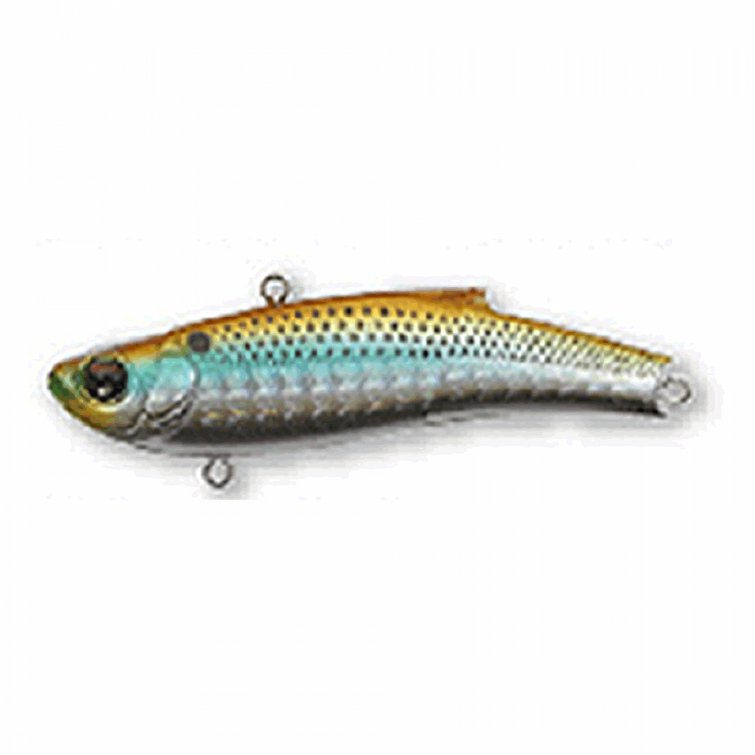 BASSDAY RANGE VIB 55TG 55mm 14.5g LH-240 KONOSHIRO saltwater fishing lure