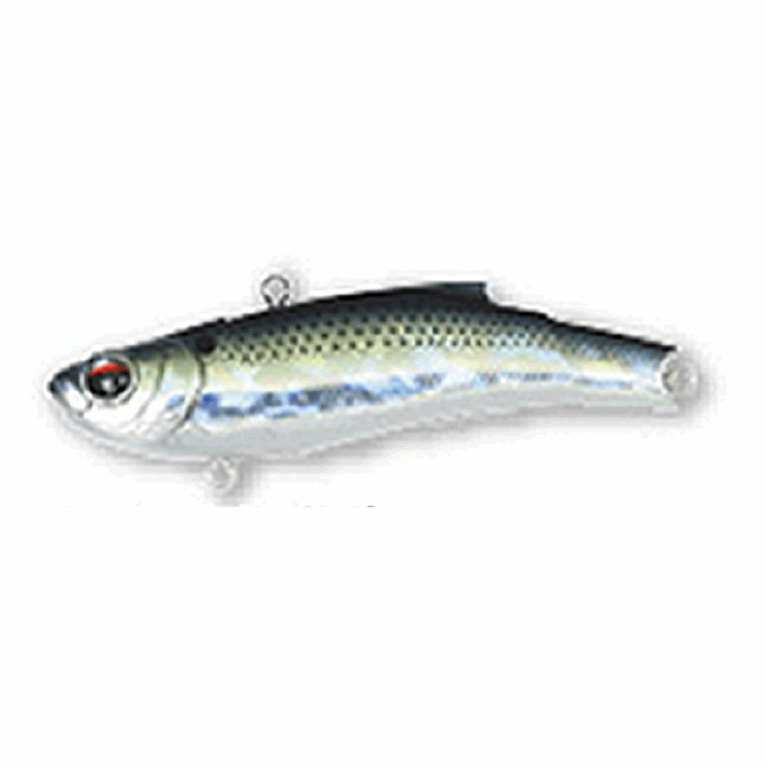BASSDAY RANGE VIB 55TG 55mm 14.5g CH-391 KISUI BORA saltwater fishing lure