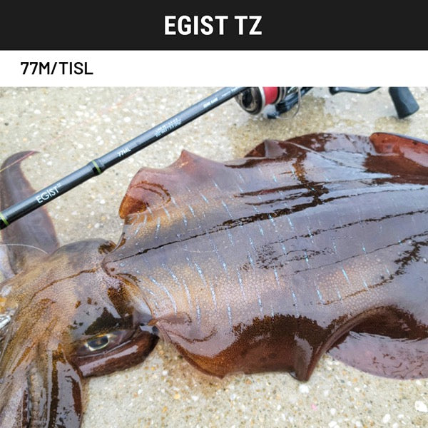 TailWalk EGIST TZ 77M/TISL Spinning