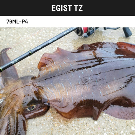 TailWalk EGIST TZ 76ML-P4 Spinning fishing rod — photo 2