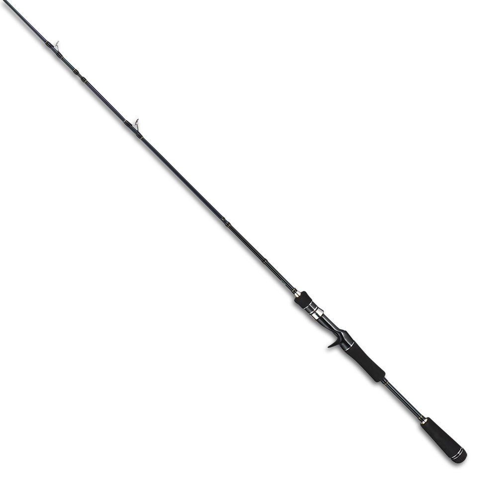 TailWalk BOAT GAMER SSD C66ML Casting