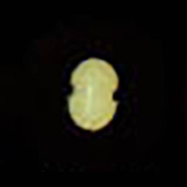 ACTIVE FLOAT RIG CUSHION #GREEN GLOW - Britannic Trade