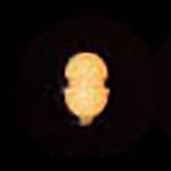 ACTIVE FLOAT RIG CUSHION #PINKGLOW - Britannic Trade