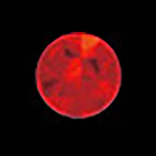 ACTIVE HOLO SEAL 16mm #SQUARE RED - Britannic Trade