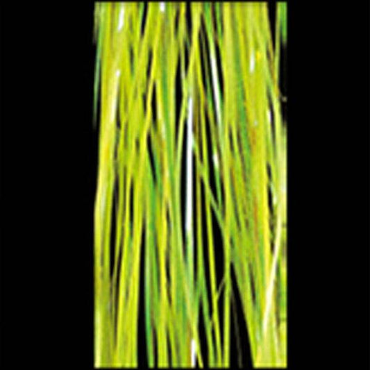 ACTIVE ACTIVE TINSEL FLAT F06 #YELLOW - Britannic Trade