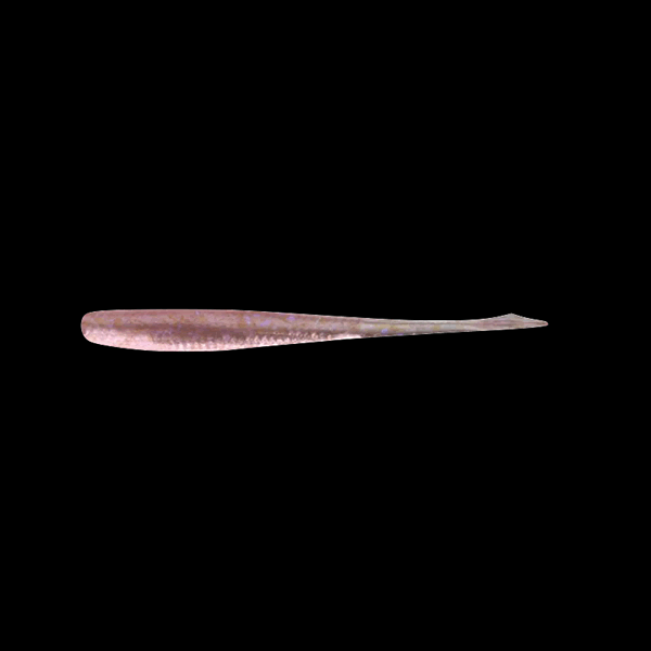 JACKALL DEKAKIBI NAGO 2.5" (8 pcs/pack) OKIAMI NEON