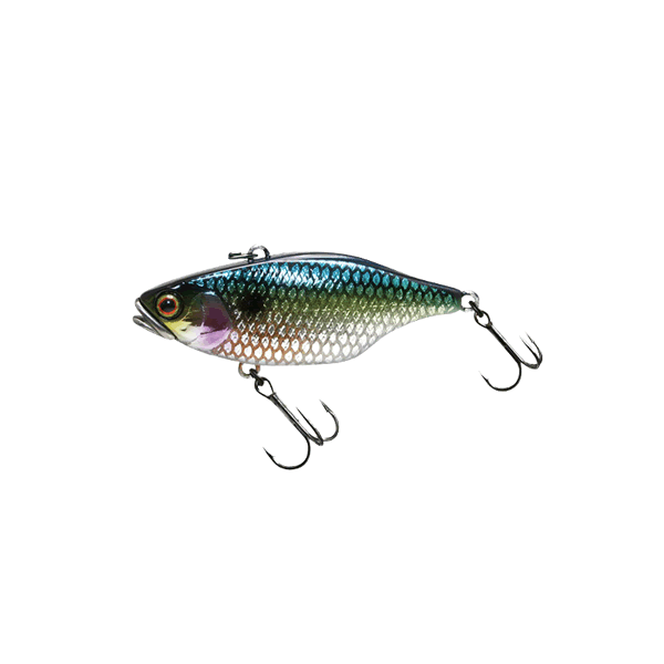 JACKALL TN70 FULL TUNGSTEN 70mm : 18.5g Sinking UROKO HOLO SS SHAD