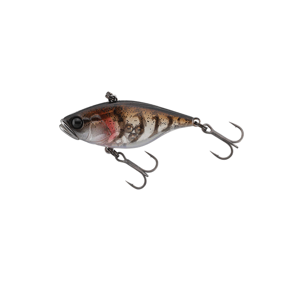 JACKALL TN38 5.1g Sinking Marmo Shrimp