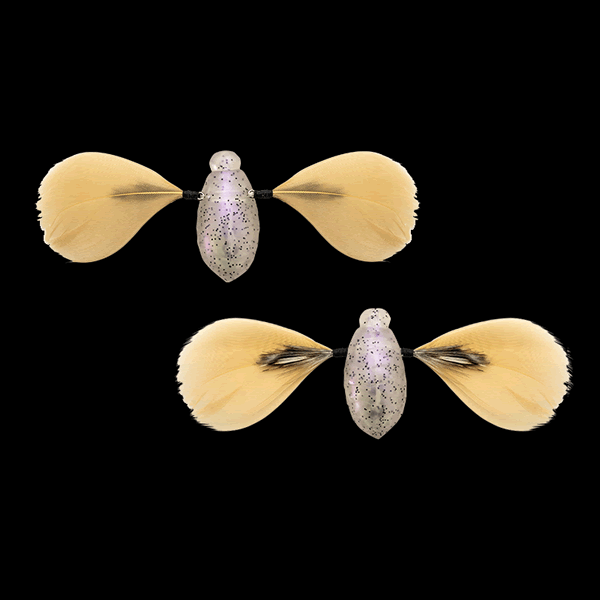 JACKALL NEED CICADA 35mm : 3.7g (2 pcs/pack) NOJIRI SHIROHITORI freshwater fishing lure