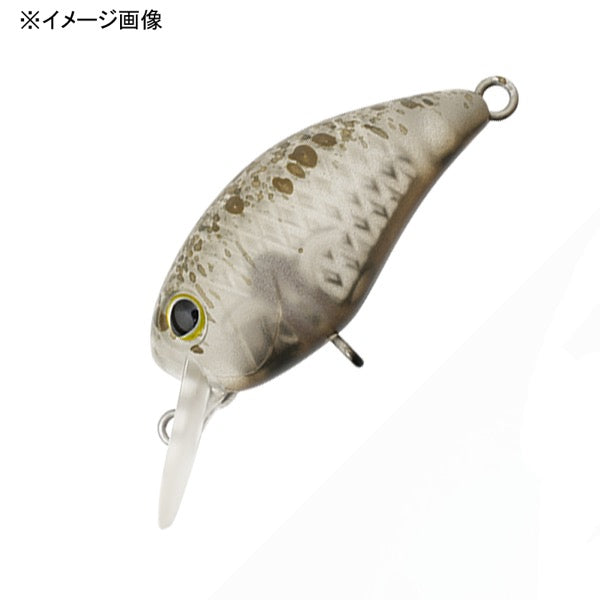 TIMON PANICRA DDR Length: 32 mm / Weight: 3.8 g Floating Kasumi Olive