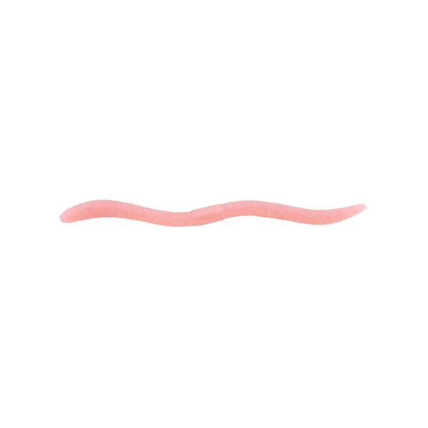 JACKALL FLICK SHAKE 500 3.8" (10 pcs/pack) SITE SHERBET MIMIZU