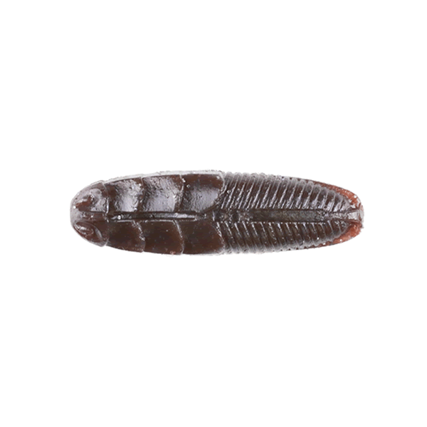 JACKALL JIMMY IMO 2" 6g (8 pcs/pack) SCUPPERNONG
