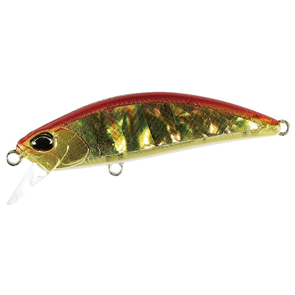 DUO 24 SPEARHEAD RYUKI 46S AWABI (LIMITED) 46mm : 5.0g Sinking CCC4115 RED GOLD ABALONE freshwater fishing lure