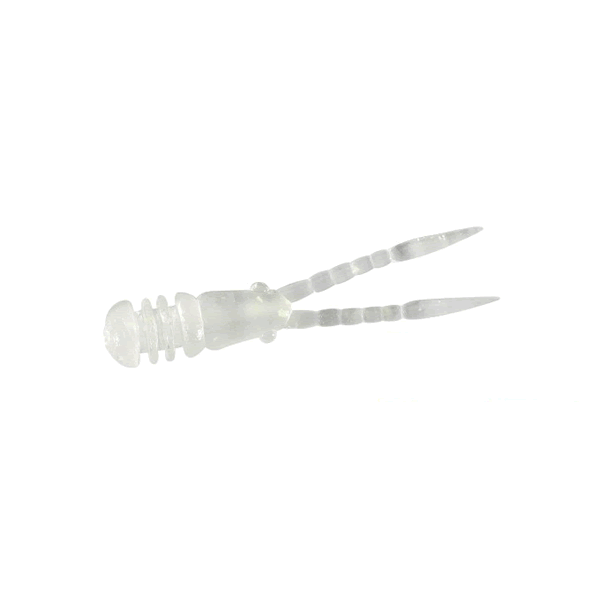 DUO TETRA WORKS CHIBI BURNY 34mm (12 pcs/pack) S545 CAPTAIN SECRET saltwater fishing lure