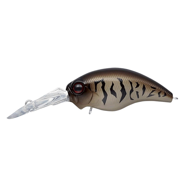 EVERGREEN WILD HUNCH Floating #384 MUDDABLE