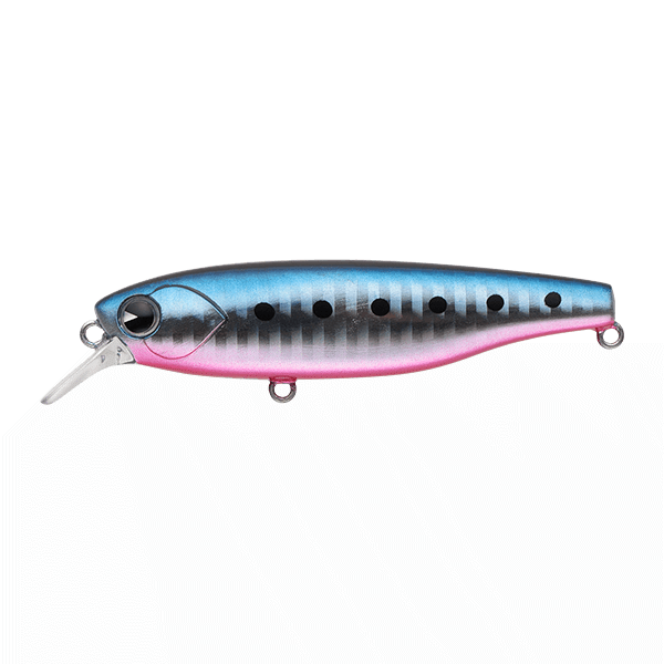 ima K-TA 77 SUSPEND 77mm : 12g Suspend KT77-008 MAKO IWASHI saltwater fishing lure