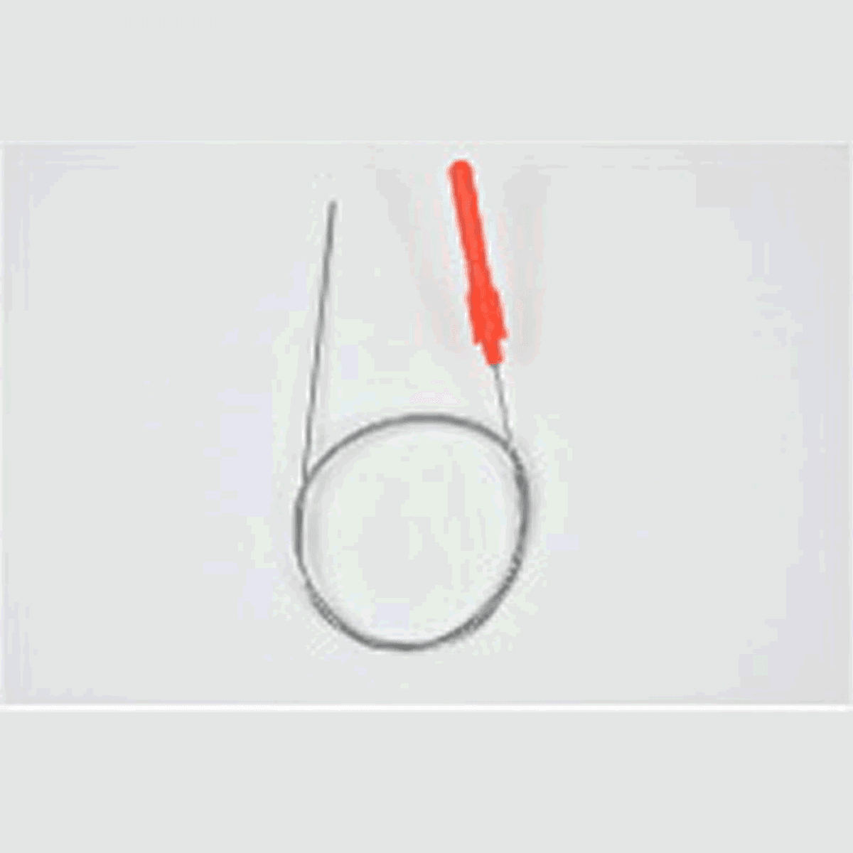 belmont SHAPE MEMORY ALLOY SHINKEIJIME φ0.8 x 50cm MP-221 FISH NERVE TIGHTENING - Britannic Trade