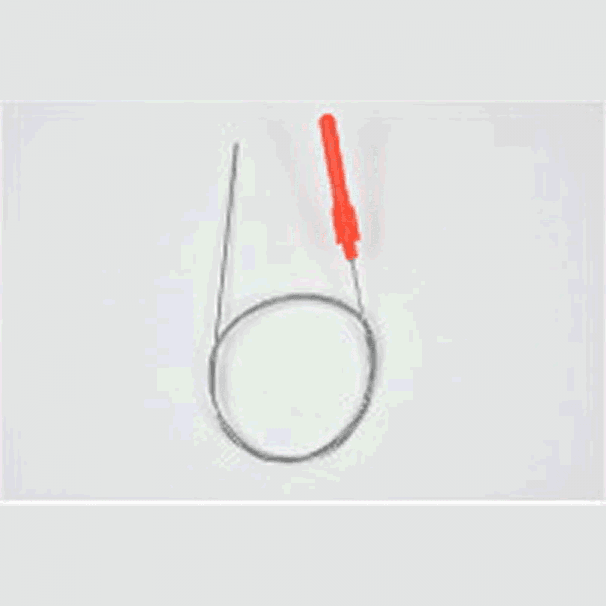 belmont SHAPE MEMORY ALLOY SHINKEIJIME φ0.8 x 80cm MP-222 FISH NERVE TIGHTENING