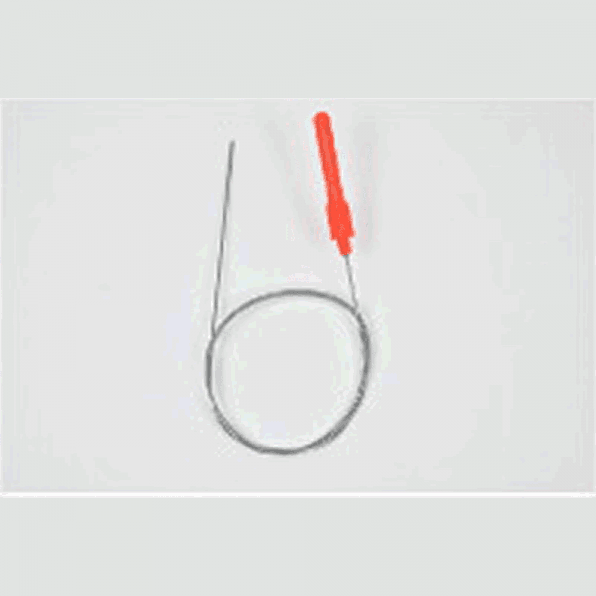 belmont SHAPE MEMORY ALLOY SHINKEIJIME φ1.0 x 80cm MP-225 FISH NERVE TIGHTENING