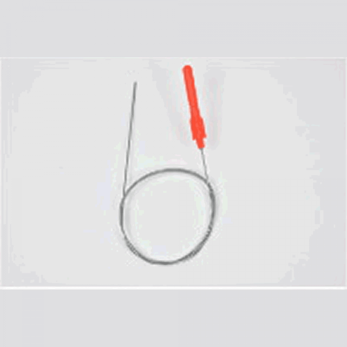 belmont SHAPE MEMORY ALLOY SHINKEIJIME φ1.2 x 50cm MP-227 FISH NERVE TIGHTENING - Britannic Trade