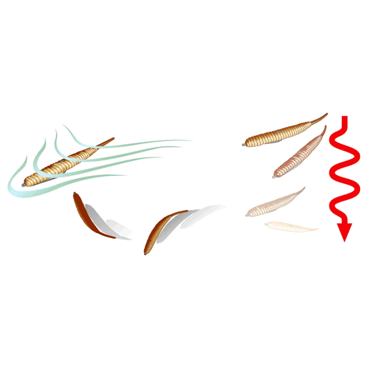 deps DEATHADDER 5" (8 pcs/pack) #16 CHART REUSE