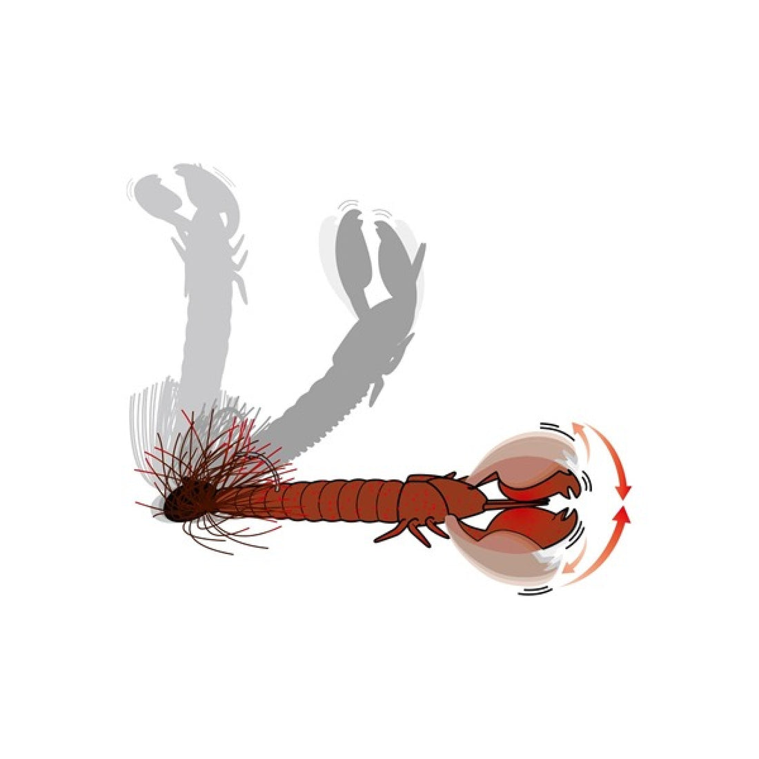 deps CLAP CRAW 4" (6 pcs/pack) #01 WATER MELON