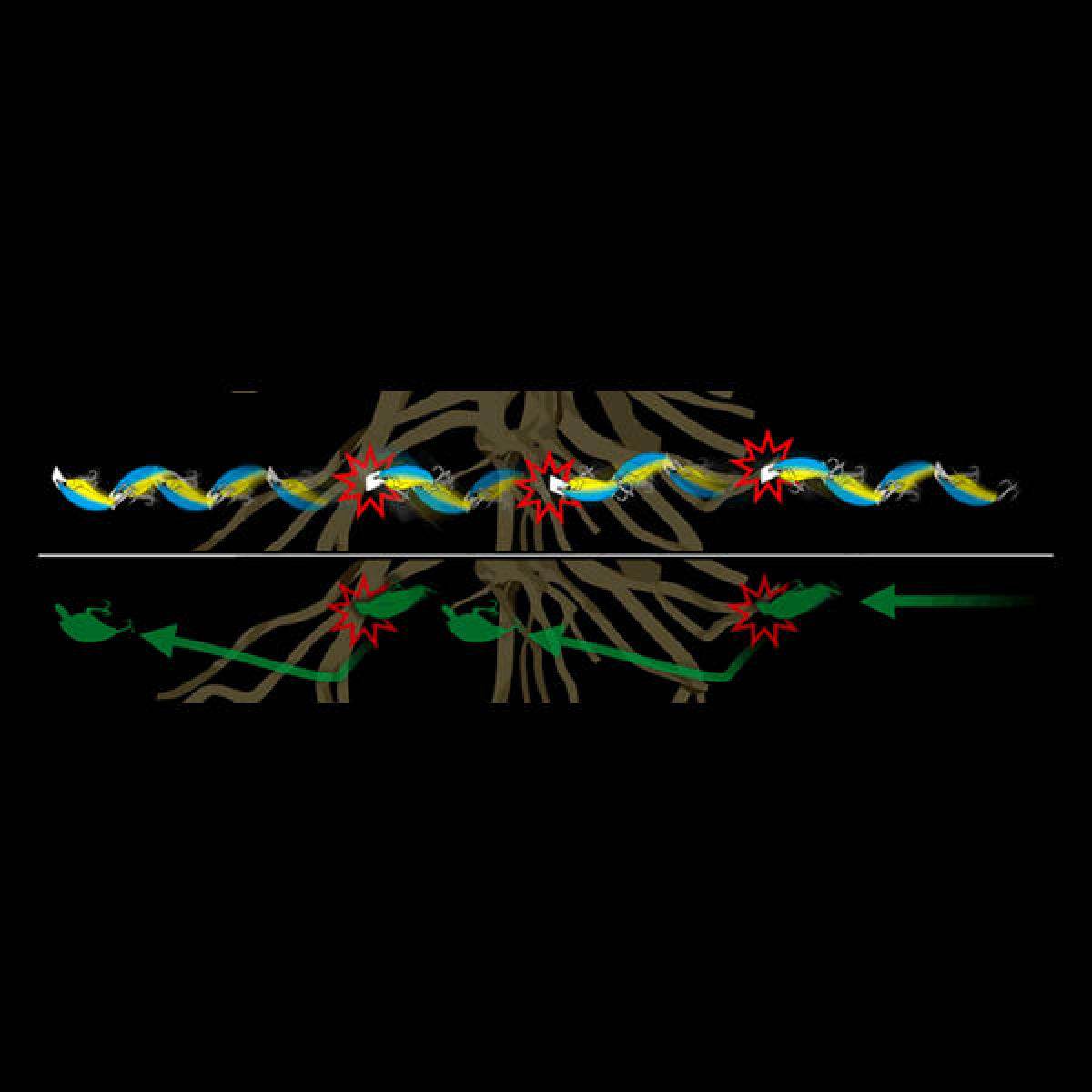 deps EVOKE 2.0 66.5mm : 18g #13 FLORIDA BLUE - Britannic Trade