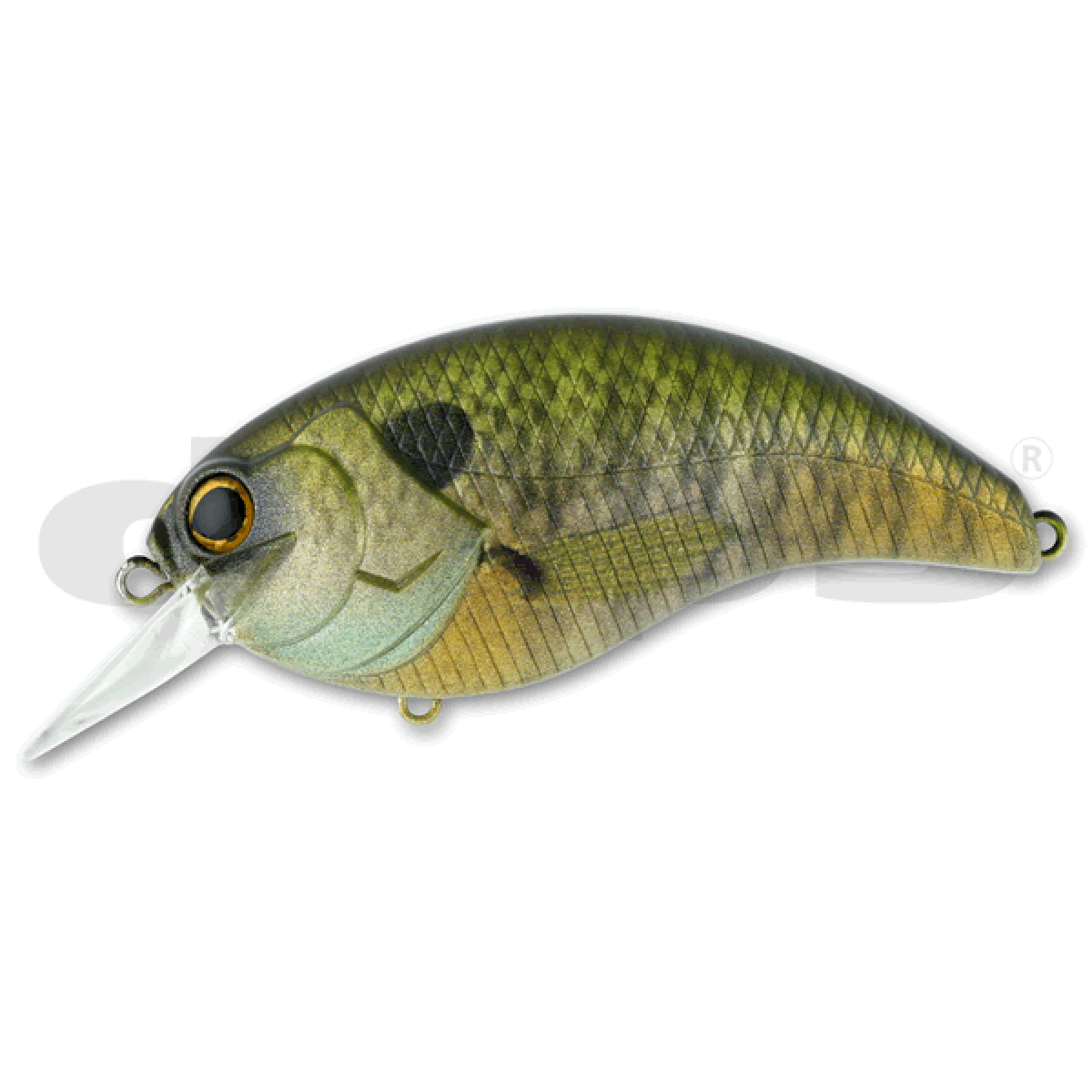 deps EVOKE 4.0 100mm : 56.5g #04 SUKAMU PERCH