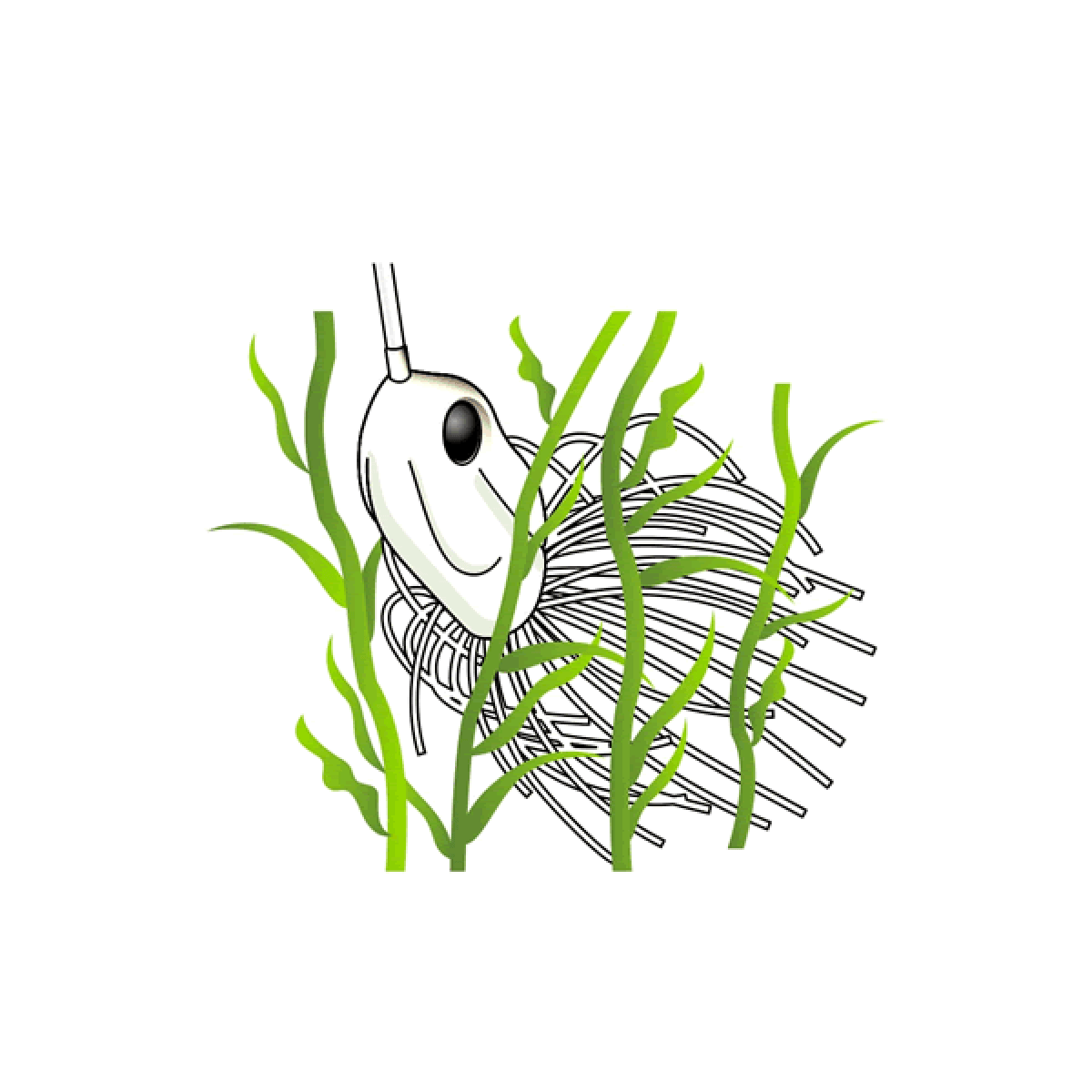 deps MINI BROS 1/4oz SW Single Willow #03 KOAYU - Britannic Trade