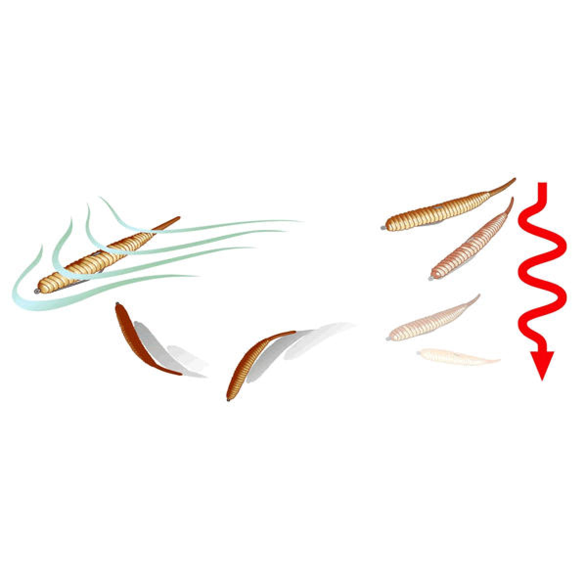 deps DEATHADDER 4" (8 pce/pack) #28 SCUPPERNONG